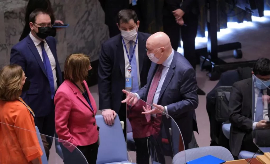 Ukraine: At the United Nations, India called for Escalation of Tension Immediately