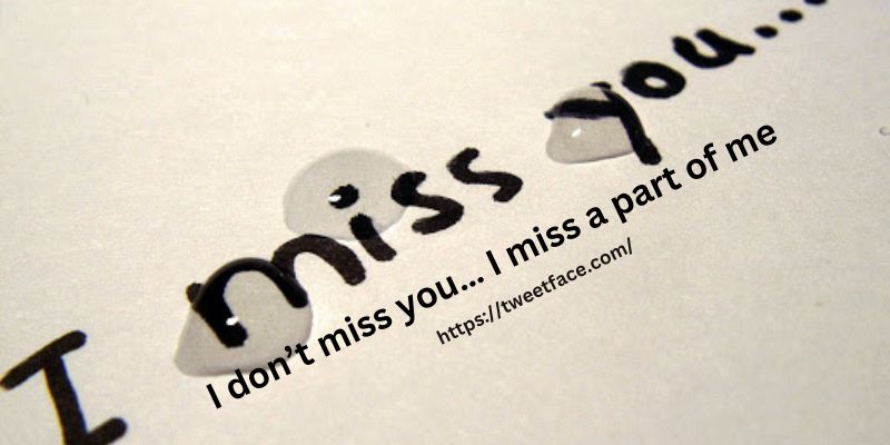 I don’t miss you… I miss a part of me